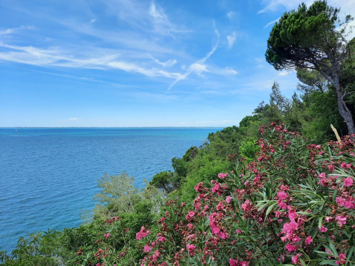 Agriturismo Ai Tre Sentieri Apartment Aurisina Bagian luar foto