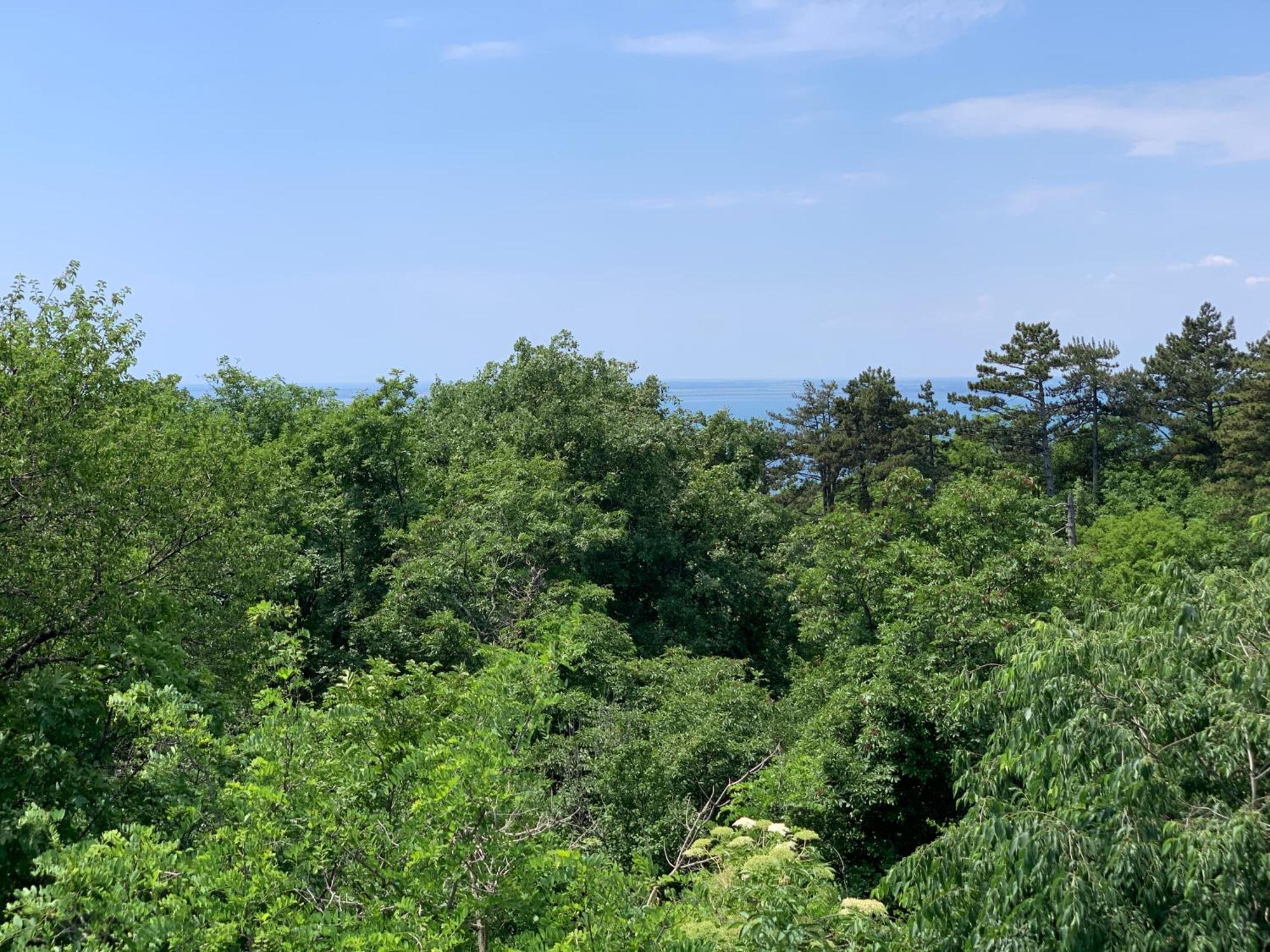 Agriturismo Ai Tre Sentieri Apartment Aurisina Ruang foto